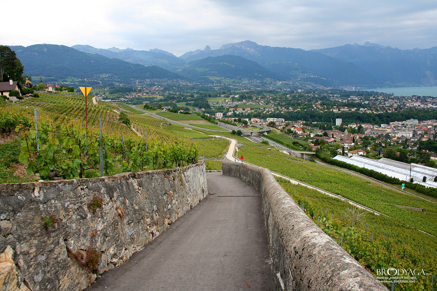 Chardonne